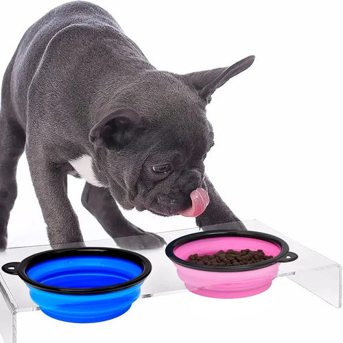Foldable Travel Pet Bowl